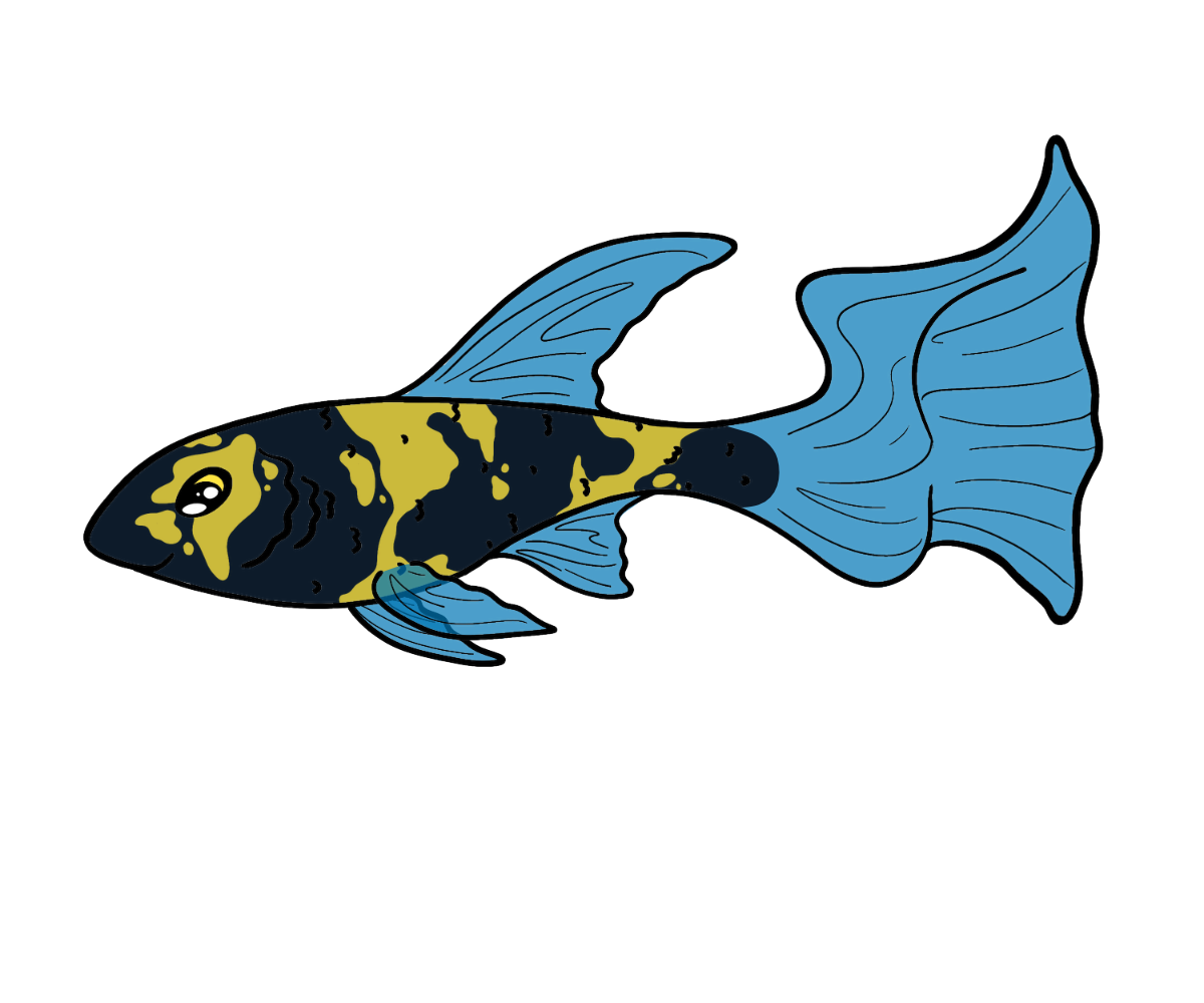 Tender Littlefin