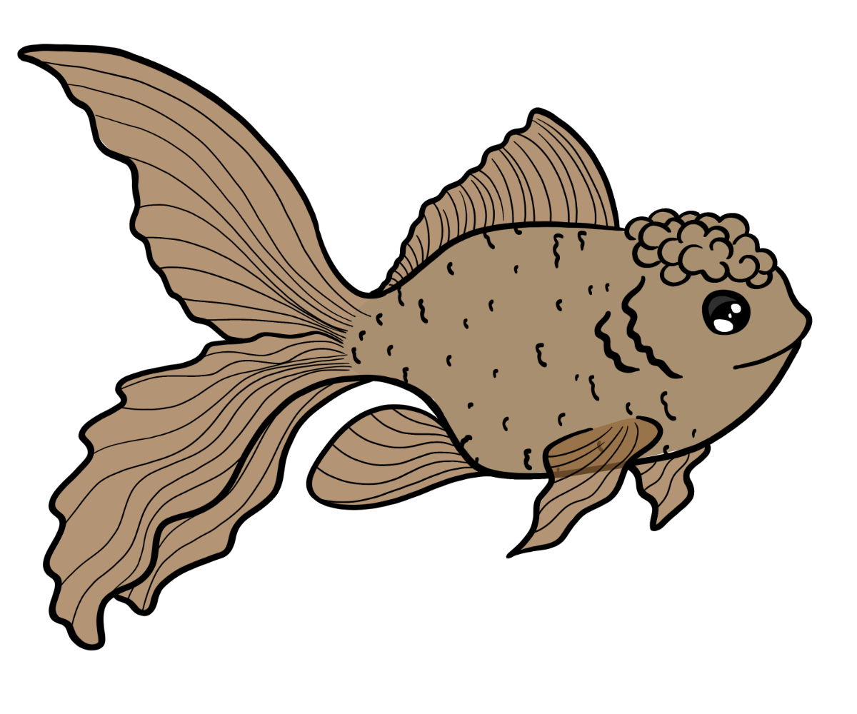 Sentinel Fancyfin