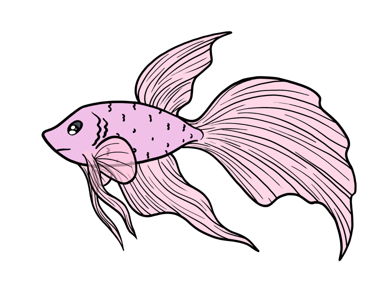 Lullaby Silkfin