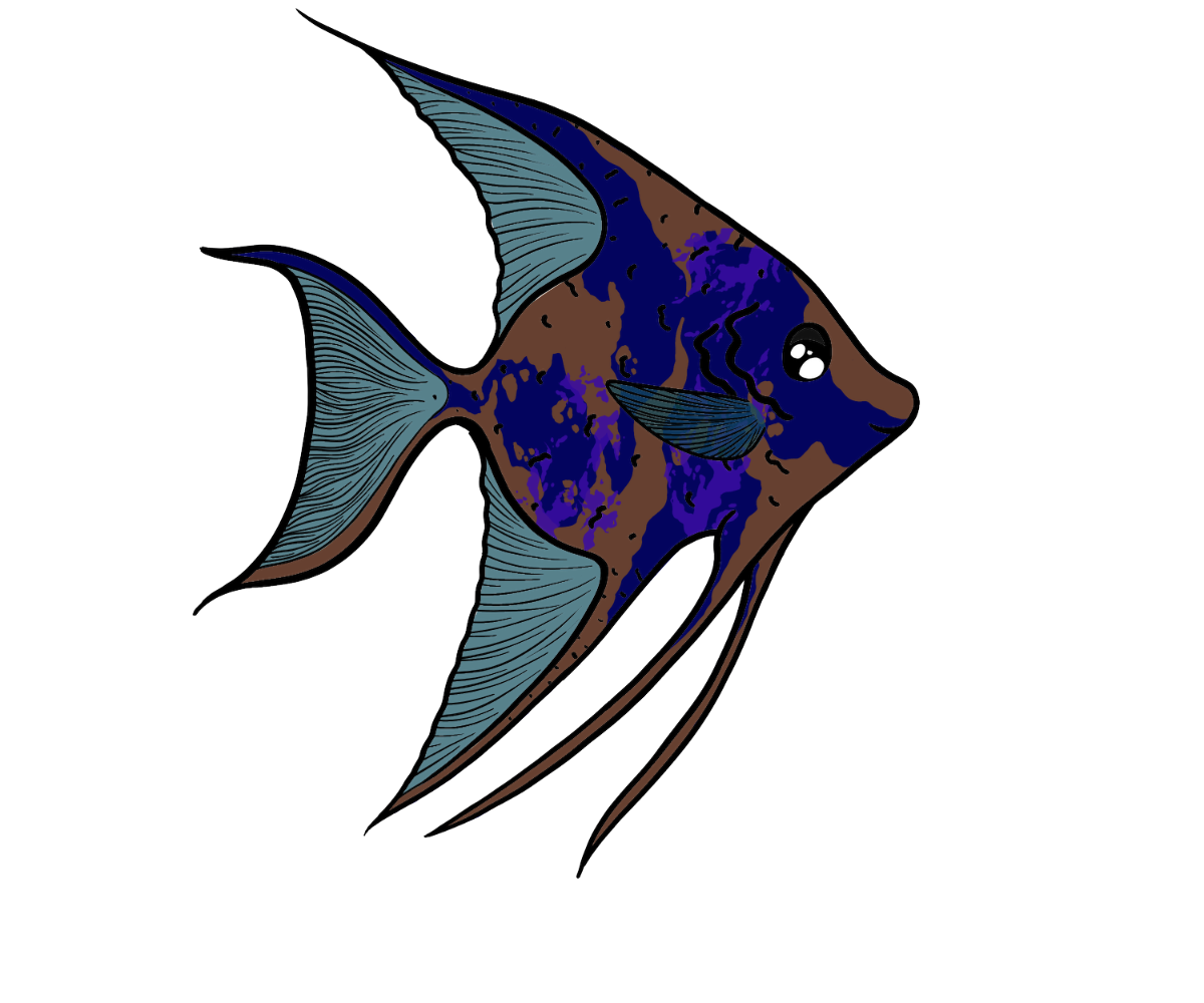 Sunny Moonfin
