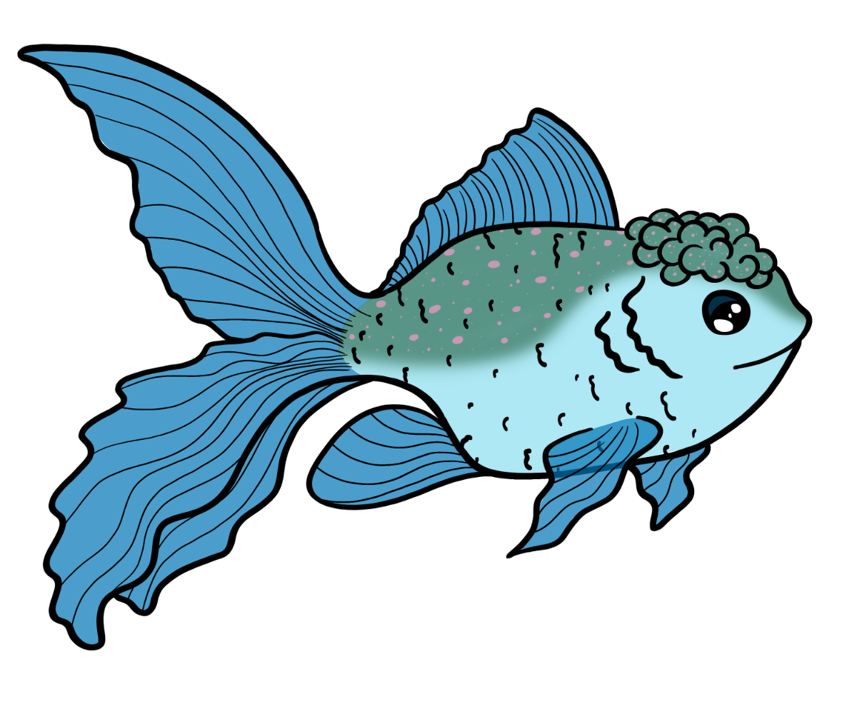 Bubble Fancyfin