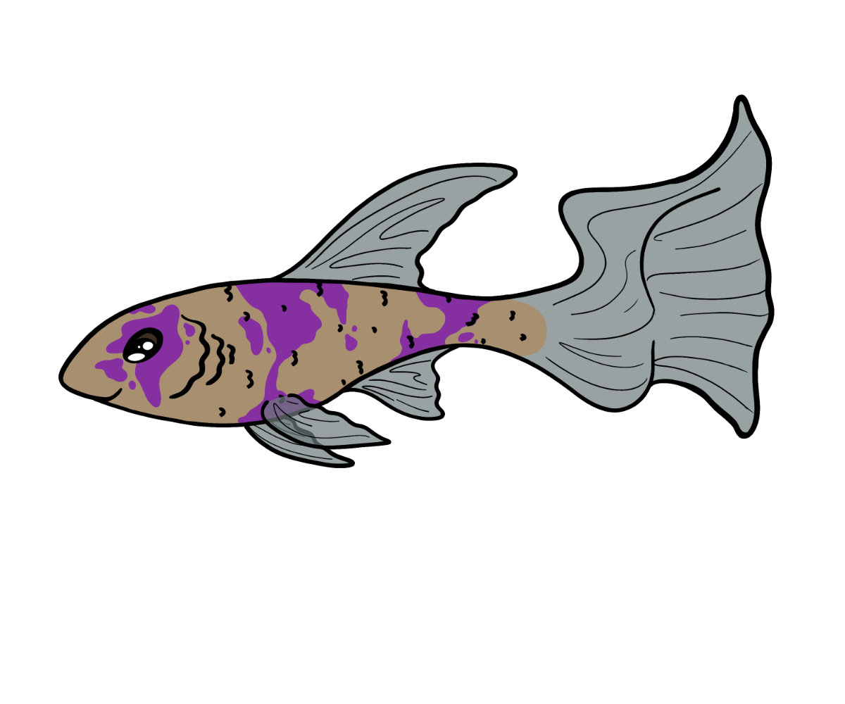 Static Guppy