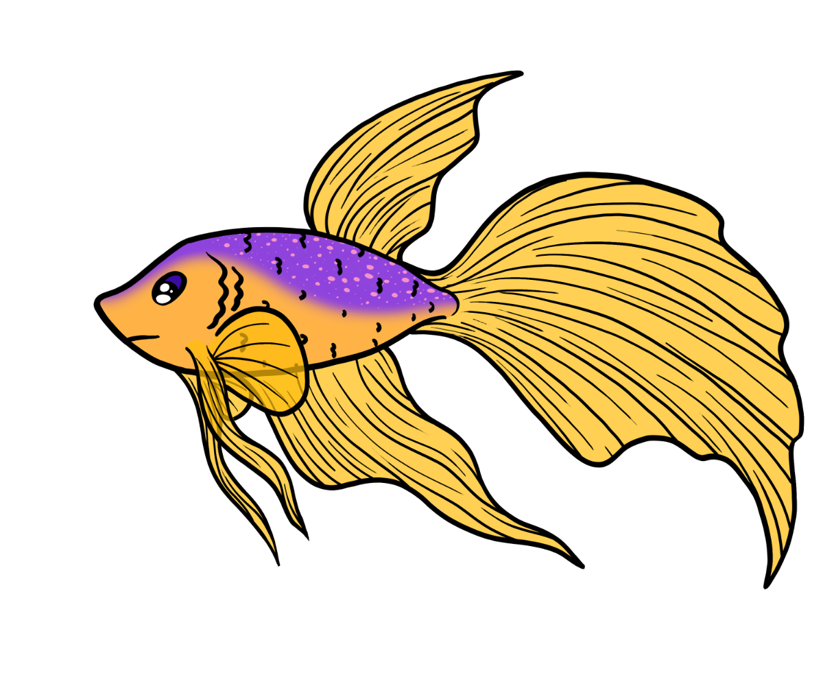 Wiggle Betta