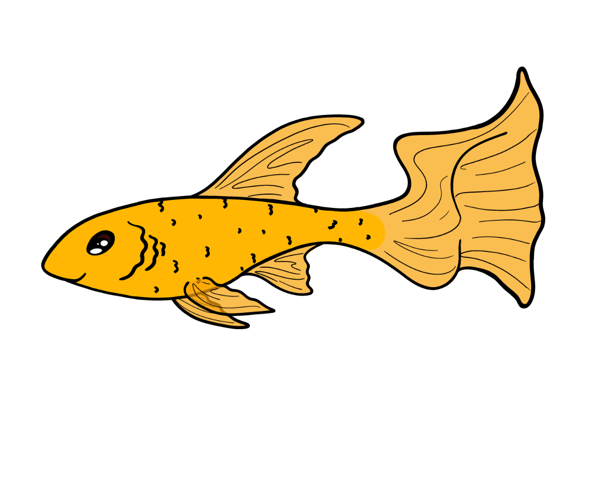 Eclipse Littlefin
