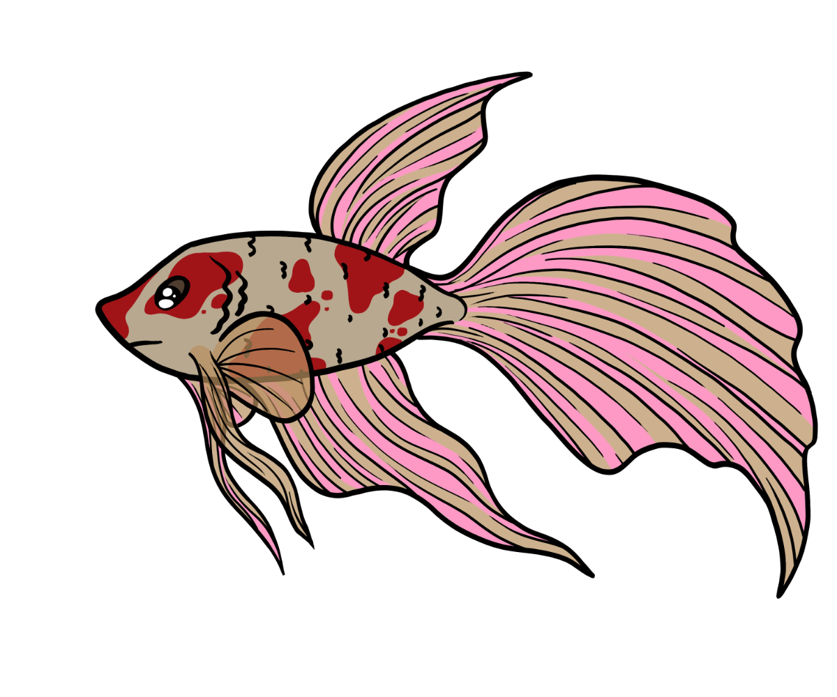Hush Rosefin