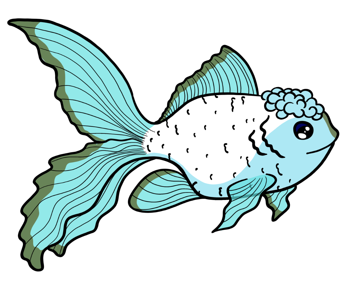 Storm Fancyfin