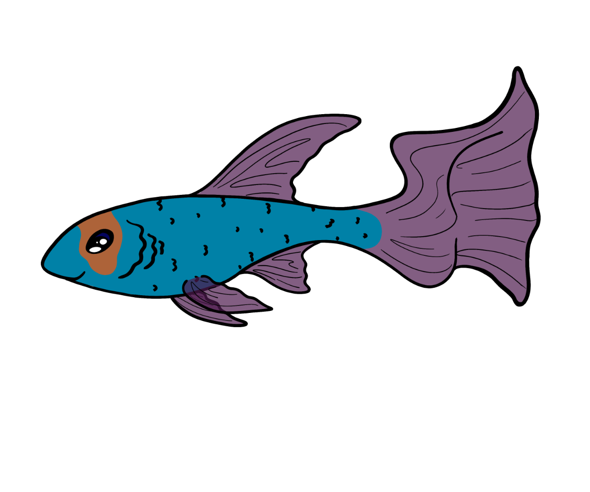 Shell Guppy