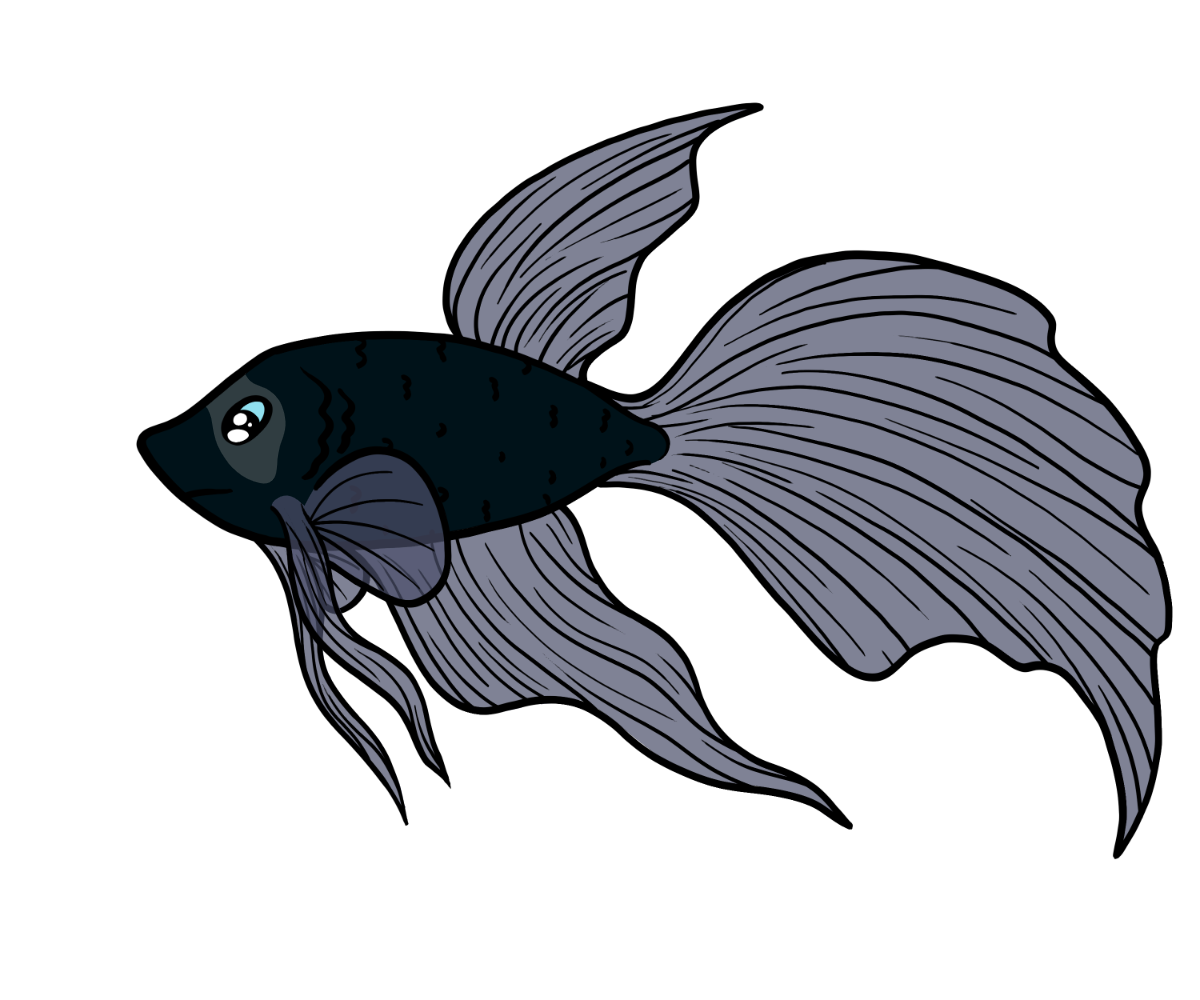 Peep Betta