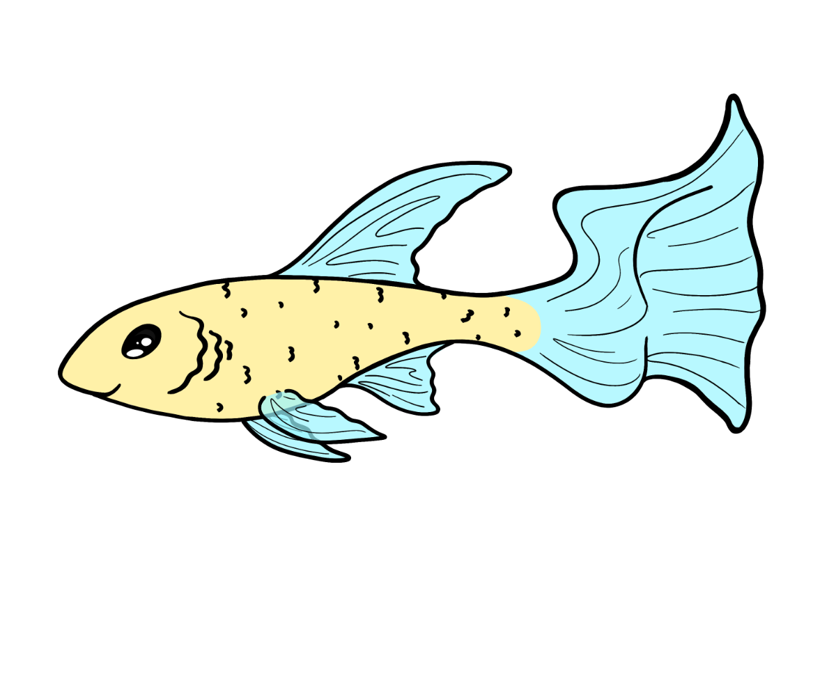 Riddle Ribbonfish
