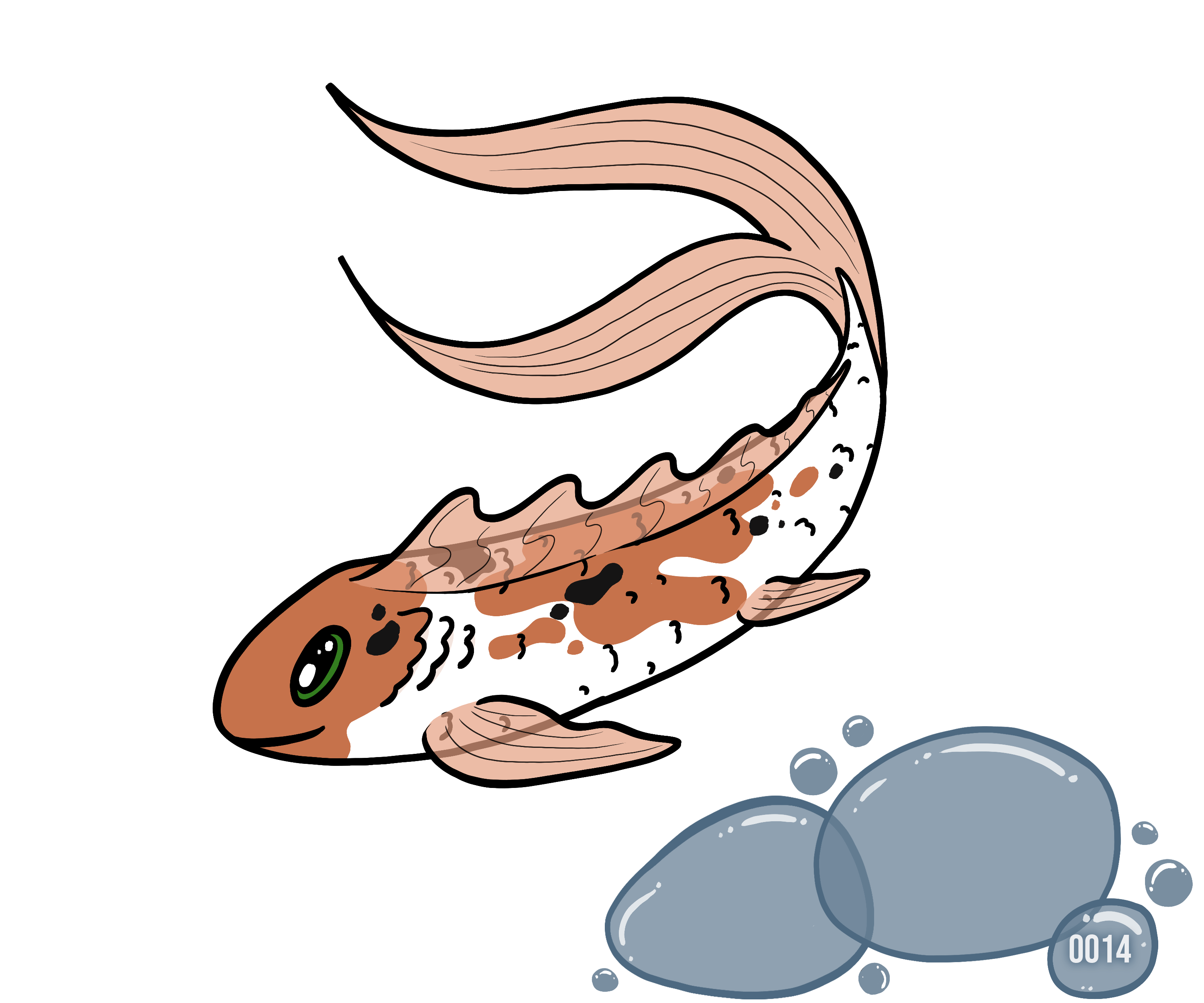 Blub certificate