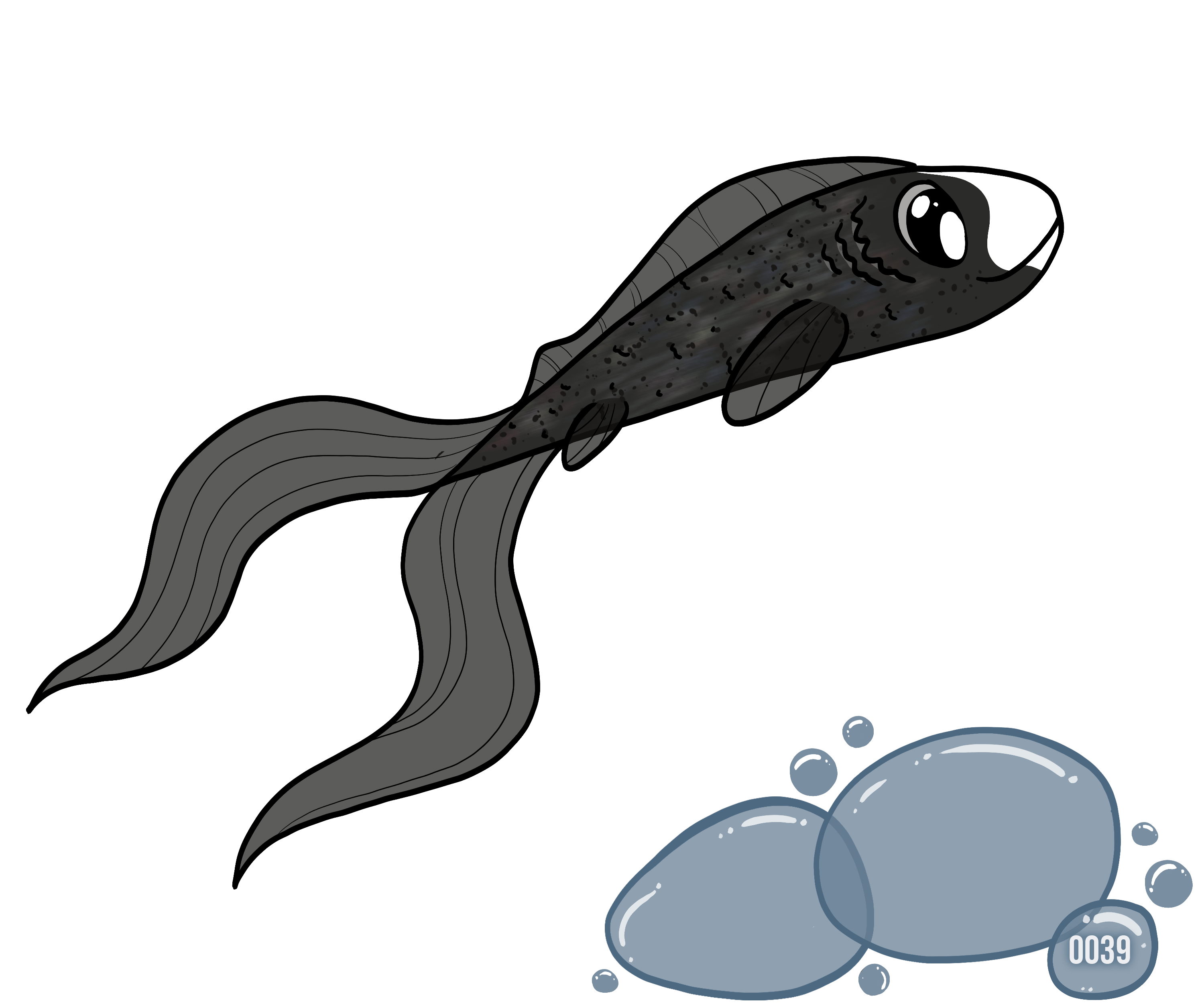 Blub certificate
