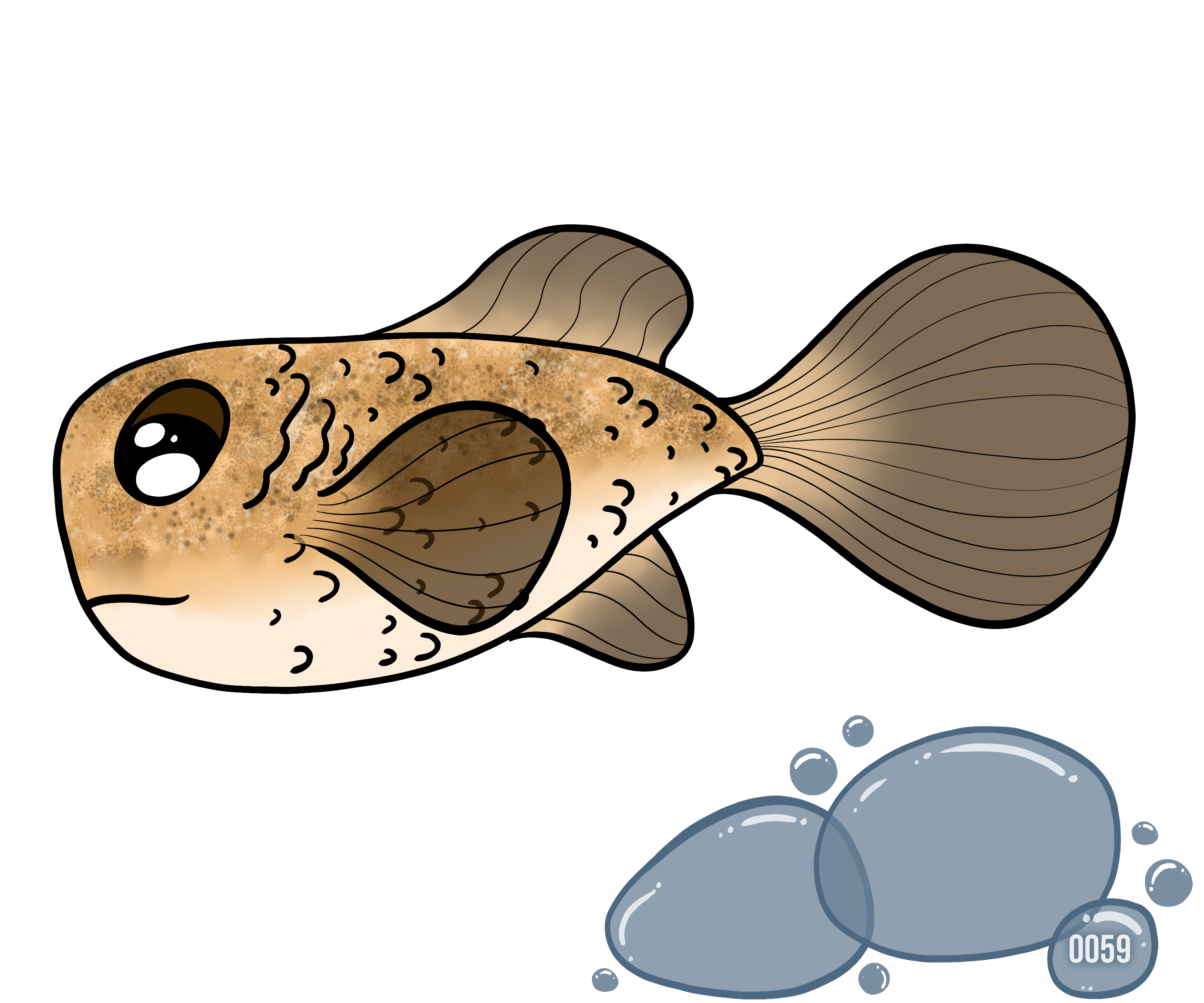 Blub certificate